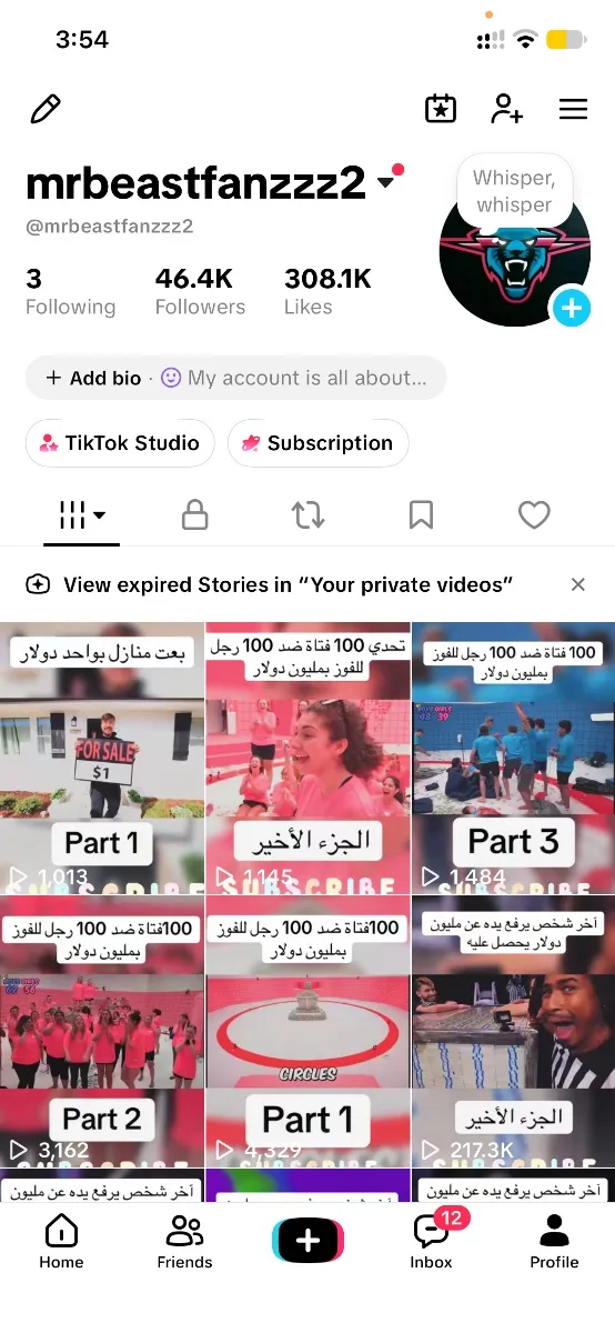 Selling my TikTok account: 46.4K followers, 308.1K likes, 3 following, screenshot 1