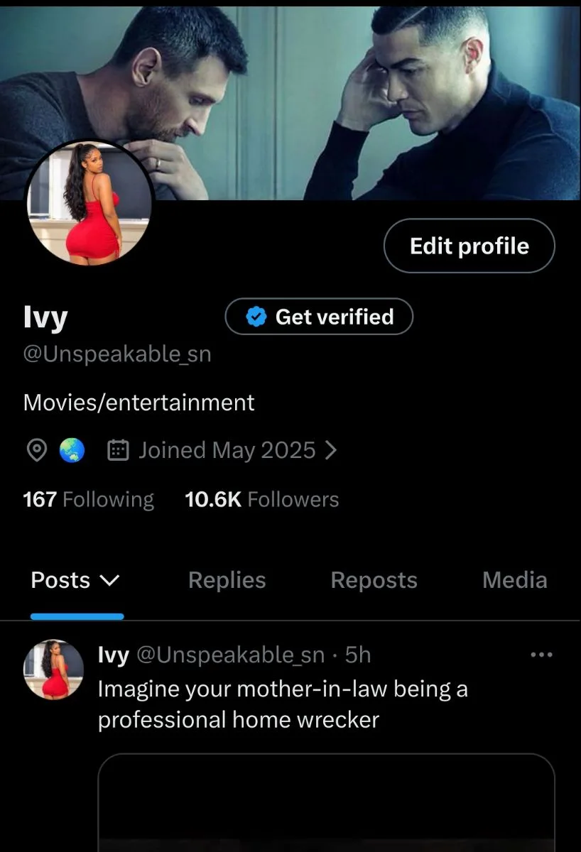 10.6k+ Movies/Entertainment niche X account , screenshot 1