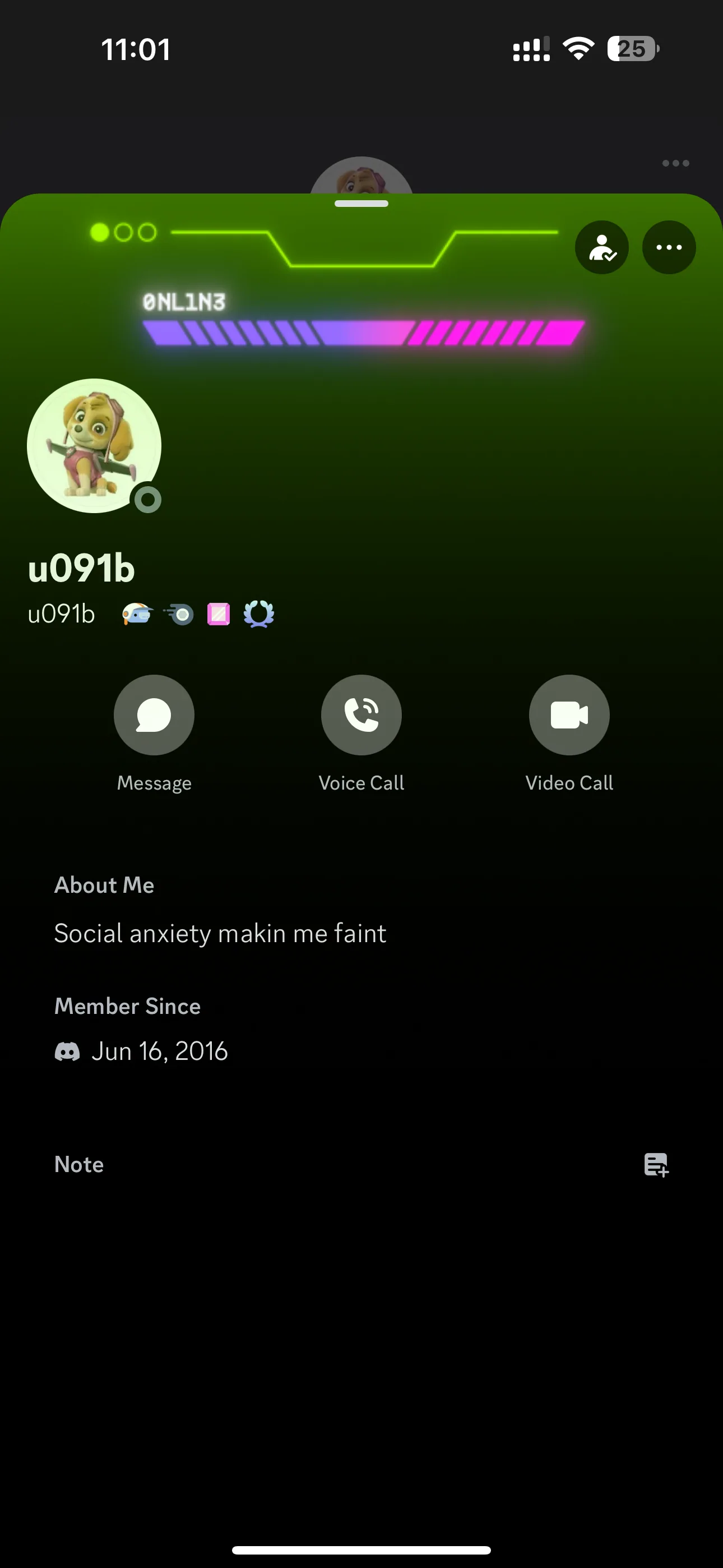 Instant Delivery 2016 Discord Aged early supporter badge Account — screenshot 1
