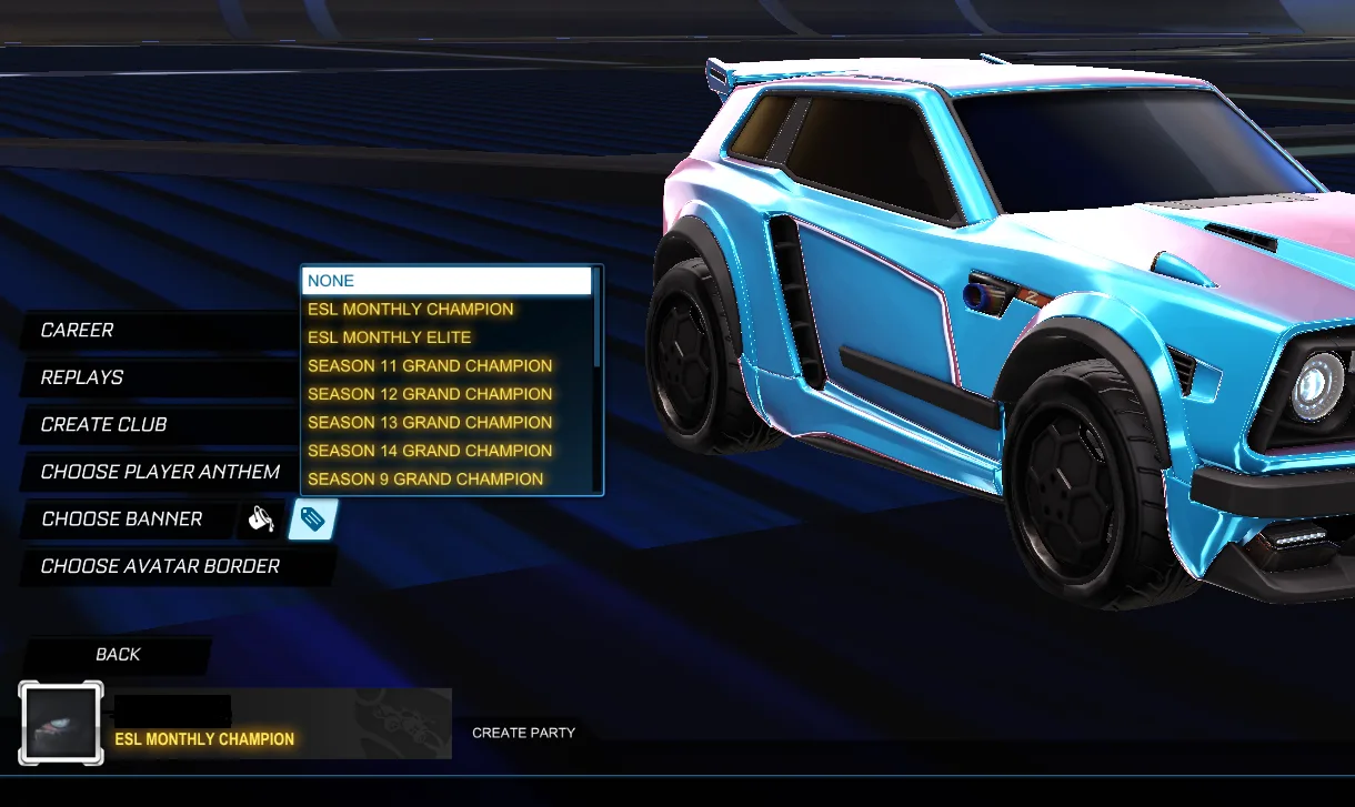 Selling my Rocket League Steam with ESL Monthly Champion / Elite — screenshot 2