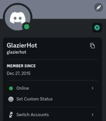 High Quality 2015-2023 Aged Discord Account - Email Access & Phone Verified — screenshot 3