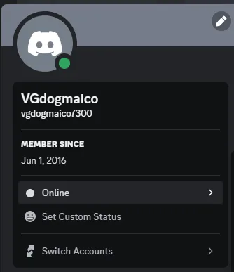 High Quality 2015-2023 Aged Discord Account - Email Access & Phone Verified — screenshot 2