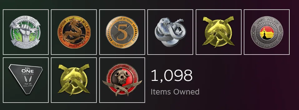 CS:GO PRIME ACCOUNT │14 LEVEL │ ALL SERVICE MEDALS — screenshot 1