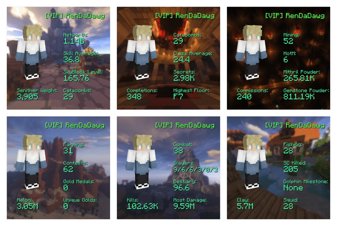 Hypixel Skyblock I SA 37 I LVL 165 I Cata 29 I NW 1.2b — screenshot 1